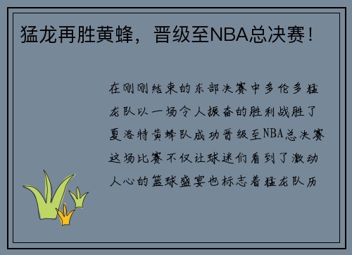 猛龙再胜黄蜂，晋级至NBA总决赛！