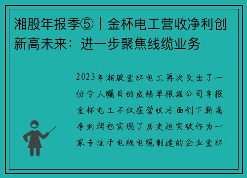 湘股年报季⑤｜金杯电工营收净利创新高未来：进一步聚焦线缆业务