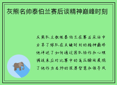 灰熊名帅泰伯兰赛后谈精神巅峰时刻