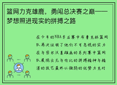 篮网力克雄鹿，勇闯总决赛之巅——梦想照进现实的拼搏之路
