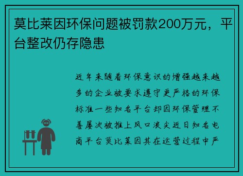 莫比莱因环保问题被罚款200万元，平台整改仍存隐患
