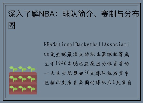 深入了解NBA：球队简介、赛制与分布图