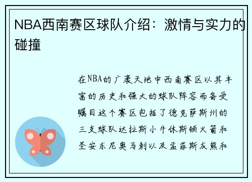 NBA西南赛区球队介绍：激情与实力的碰撞